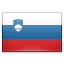 Flag for Slovenian